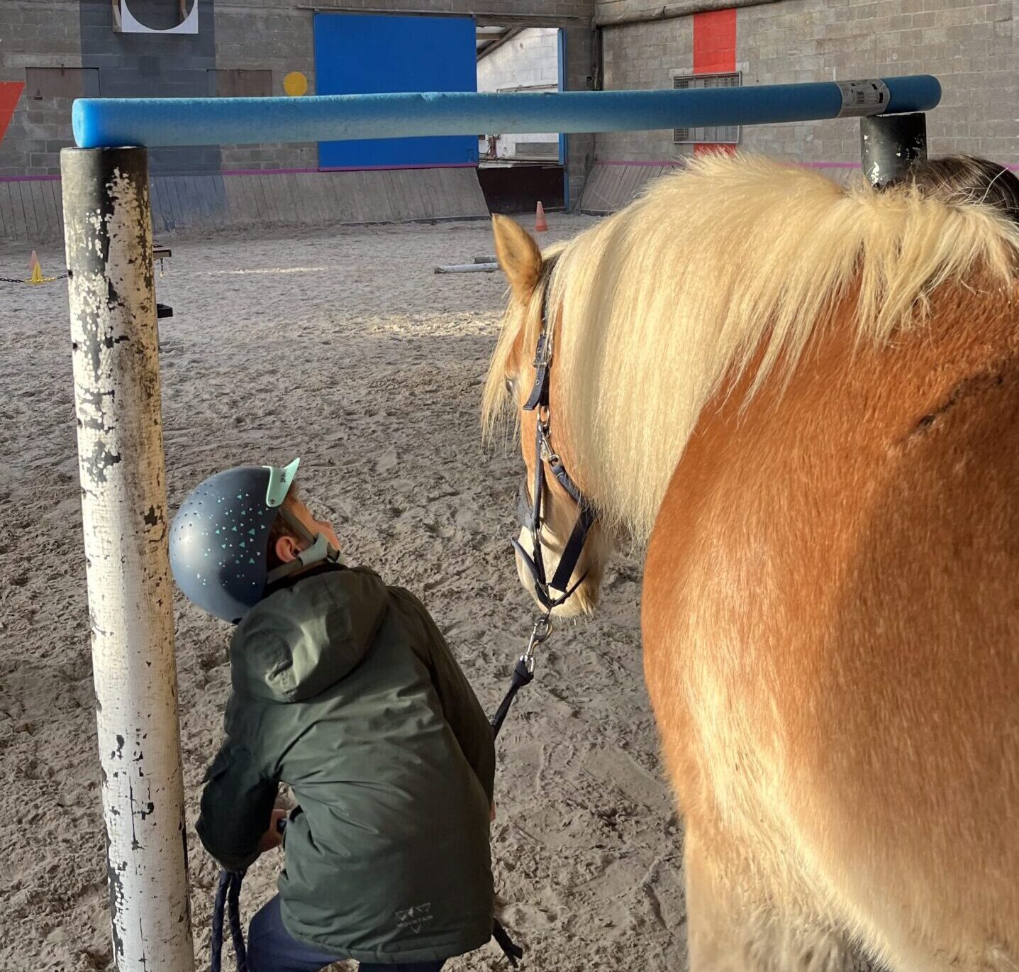 woman in white shirt riding brown horse during daytime